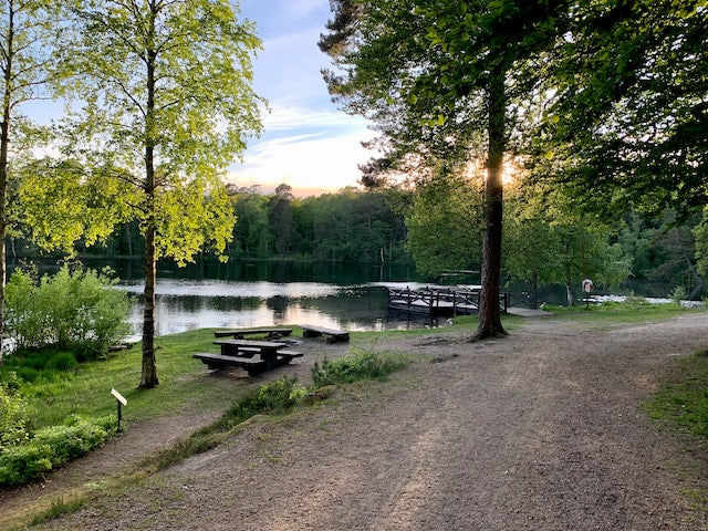 Tilbage til naturen – forskningen bag naturterapi