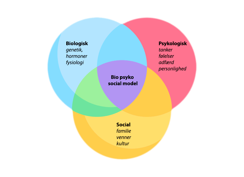 Den Bio-psyko-sociale model: En helhedsorienteret tilgang til sundhed og sygdom