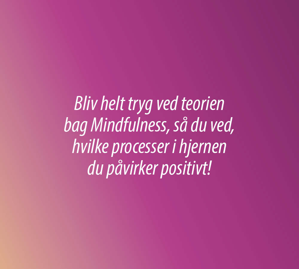 Bliv mindfulness instruktør – Mindfulness instruktør uddannelse hos Seminarer.dk