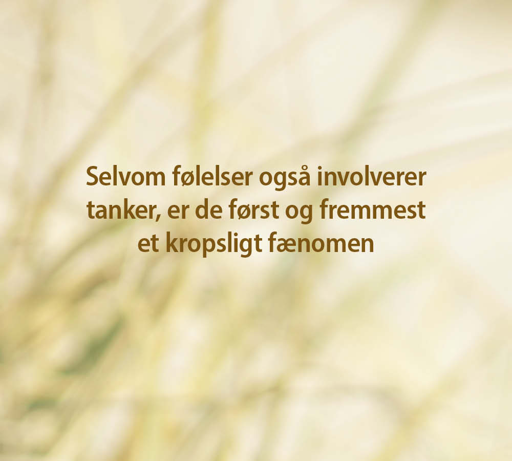 Allan Køster: Glem ikke kroppen i sorgprocessen