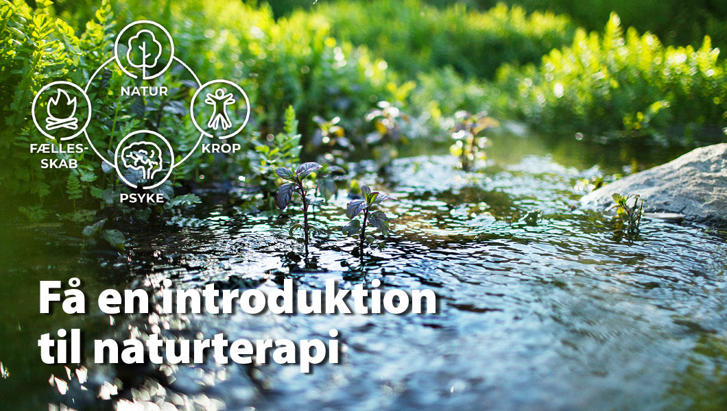 Online kursus i naturterapi og sundhedsfremme