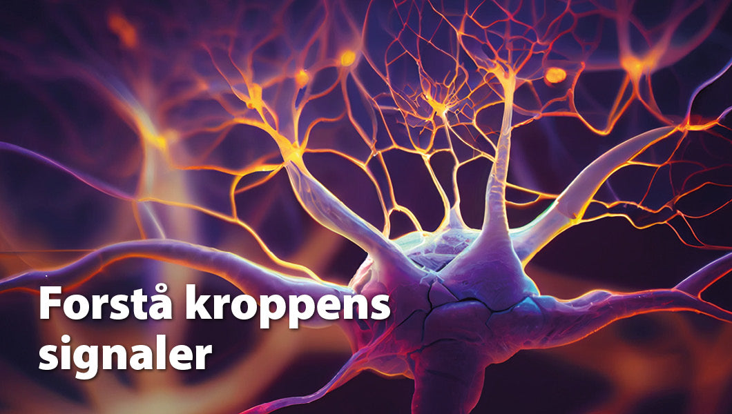Interoception – den indre sans