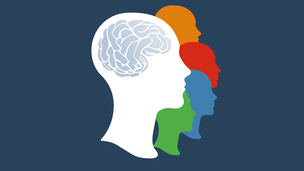Neuroaffektiv ledelse: gruppeadfærd og motivation