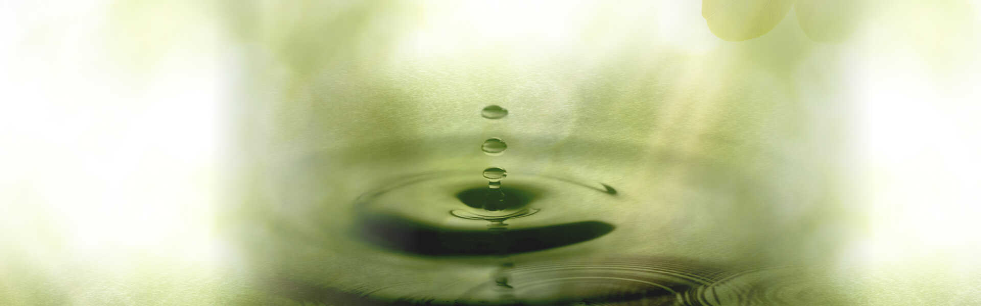 Acceptance and Commitment Therapy (ACT) – Mini-uddannelse