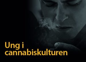 Når cannabis stopper hjernens udvikling