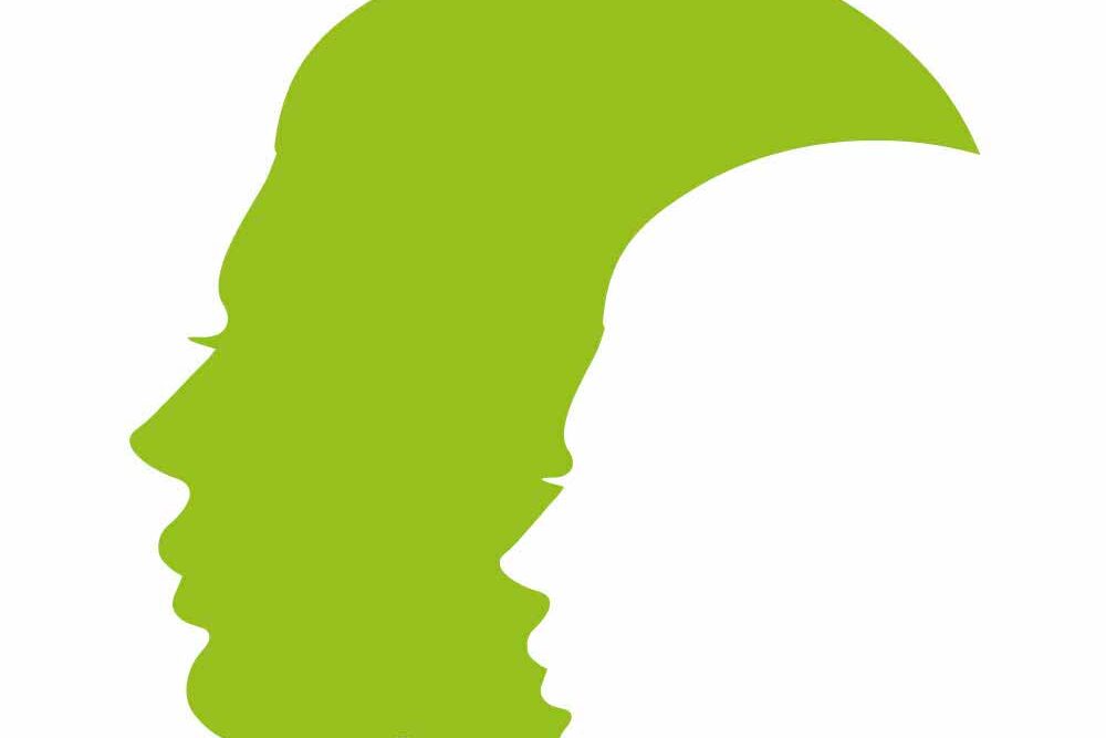 Webgrafik_Giv stemmerne mening3