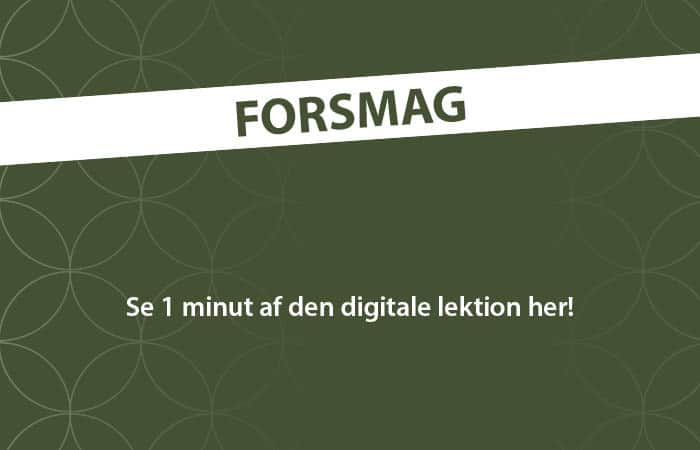 Video forsmag2