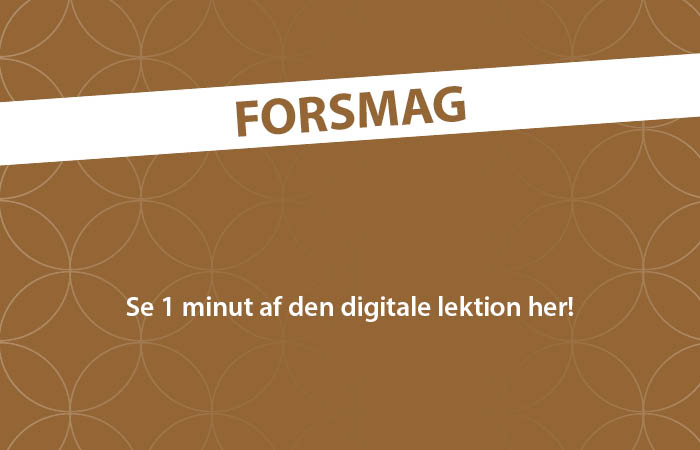 Video forsmag8