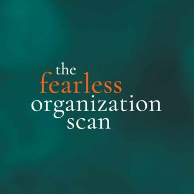Fearless organization scan