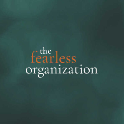 Fearless organization scan