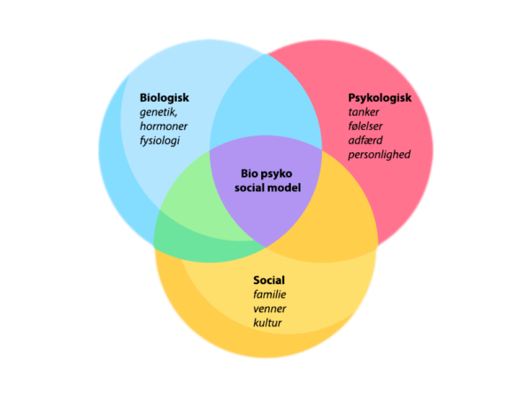 Den Bio-psyko-sociale model: En helhedsorienteret tilgang til sundhed og sygdom