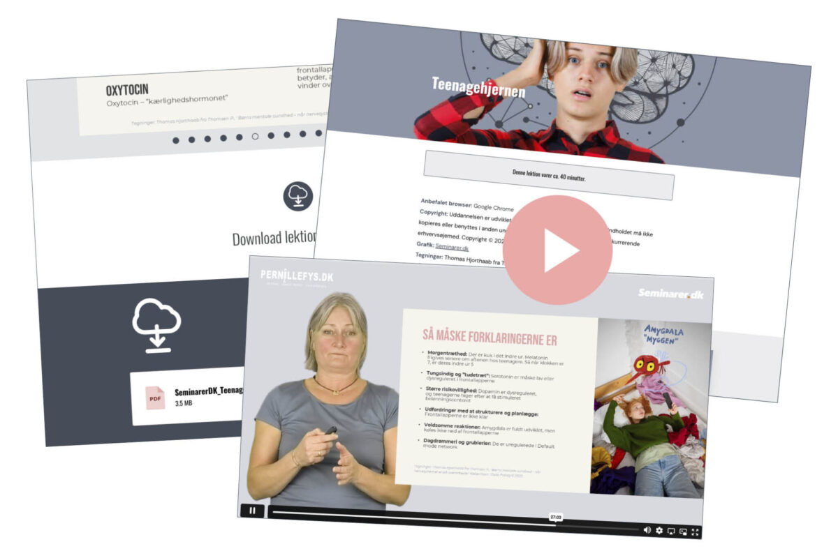 Webgrafik 1000x800_02_Teenagehjernen