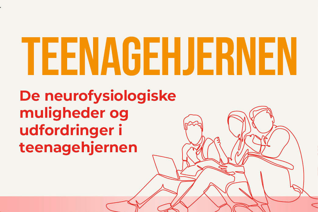 Webgrafik_500x350Teenagehjernen4_new