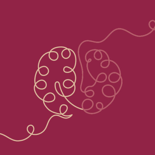 Neurodivergens og udviklingspsykologi – kontakt, tilknytning og mentalisering